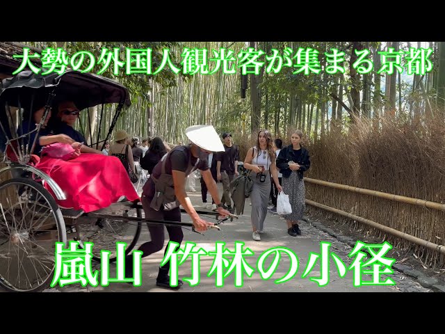 2024年5月2日 大勢の外国人観光客が集まる京都 GWの嵐山竹林の小径を歩く Walking along the path of Arashiyama Bamboo Forest 【4K】