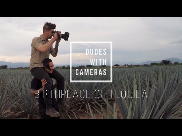 Dudes with Cameras: Jimadors of Jose Cuervo
