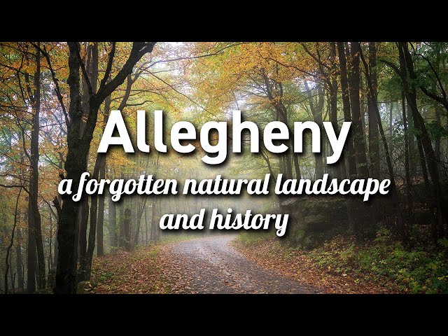 Allegheny National Forest (Pennsylvania)