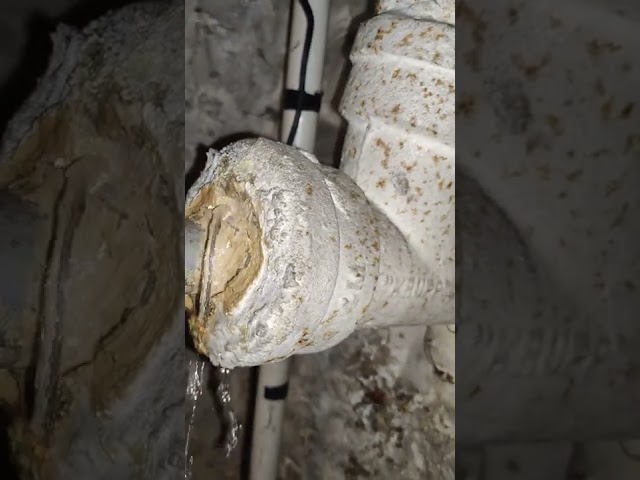 Frackville Pipe leak basement 9/4/2022