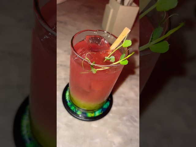 Spezial Cocktail at Paradiso in Barcelona #cocktail #mixology #youtubeshorts