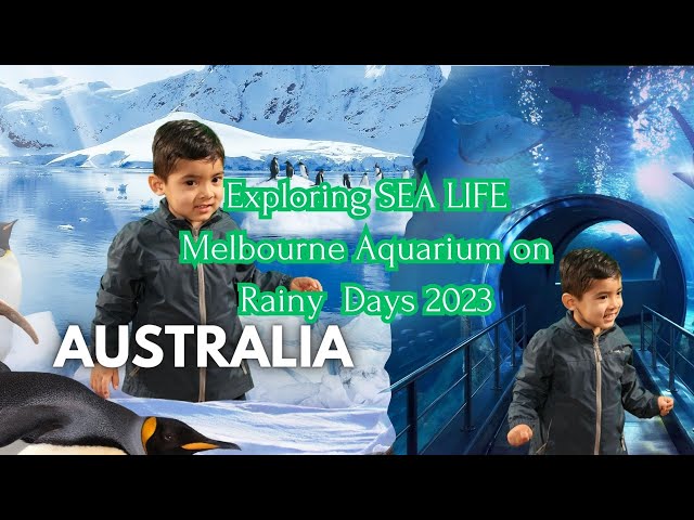 Exploring SEA LIFE Melbourne Aquarium on Rainy Day #travel #adventureenthusiast