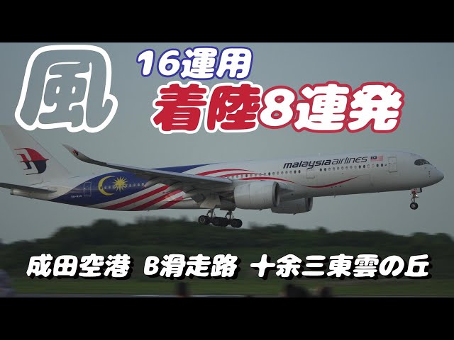 【4K】成田空港 十余三東雲の丘 風が吹き荒れる夕暮れ 着陸８連発