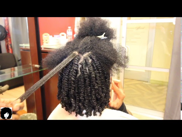 ** 1 million views** BEST how to video•}{• Two Strand Twists (done on damp hair) lasts 3-5 weeks!