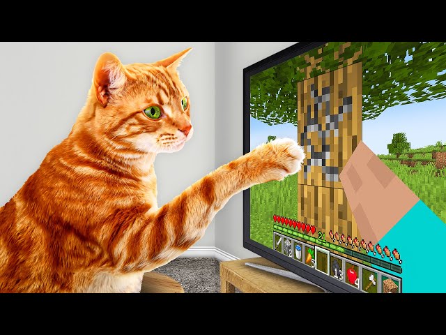 I Taught My Cats to Beat Minecraft in Real Life