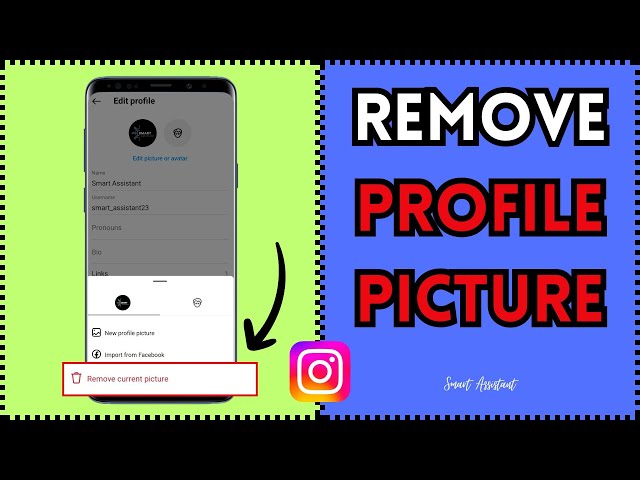How to Remove the Profile Picture from Instagram (2024)