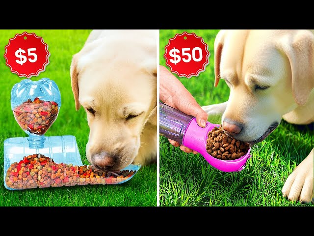 Rich vs Poor Pet Gadget Challenge 🐶💰 Are You Ready To Try These New DIYs?