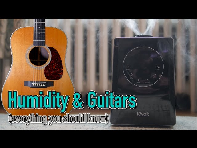 Why You NEED to Keep Your Guitars Humidified