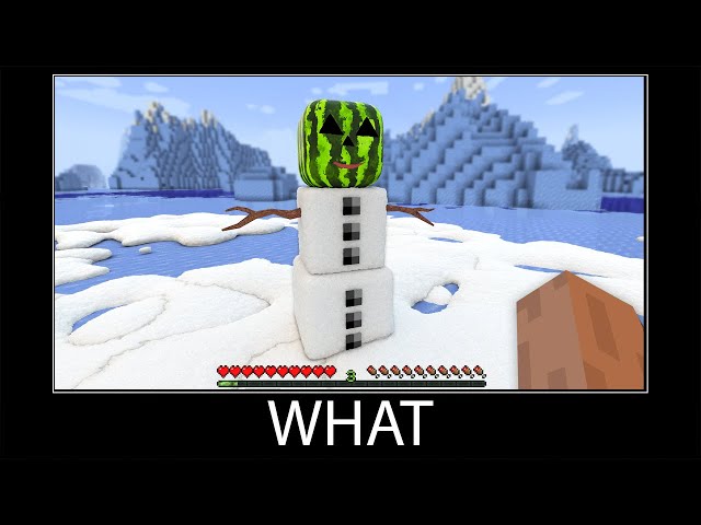 Minecraft wait what meme part 317 realistic minecraft Snowman