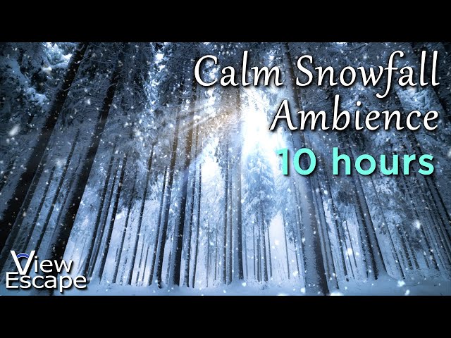 10 HRS - Calm Falling Snow with Wind and Forest Bird Sounds  |  Find the Owl | ASMR White Noise