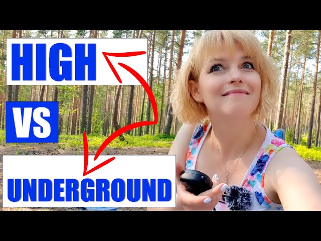 Underground vs 8 m high. Raisa compares HF dipoles - this time in the forest