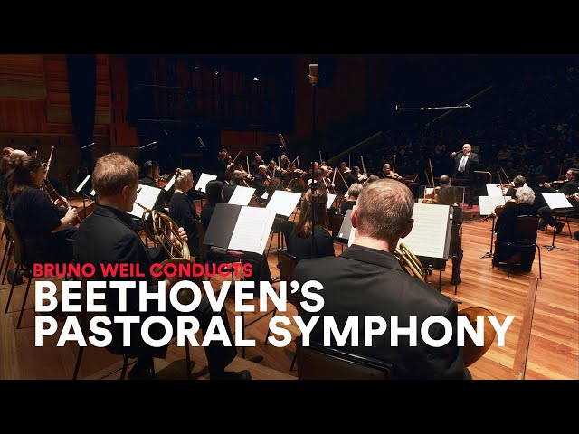 BEETHOVEN: 6th Symphony 'Pastoral', 1st Movement - on Original Instruments