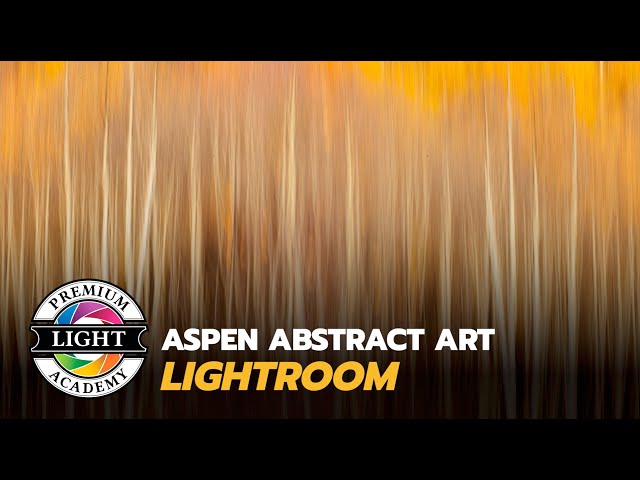 Aspen Art Lightroom - Fall Color Photography