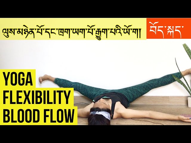 Yoga to improve flexibility and blood flow | ལུས་མཉེན་པོ་དང་ཁྲག་ཡག་པོ་རྒྱུག་པའི་ཡོ་ག། In Tibetan