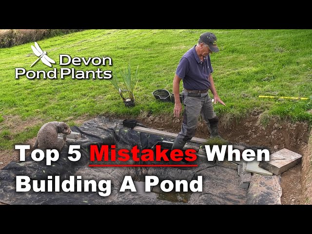 Top 5 Mistakes When Building A Pond