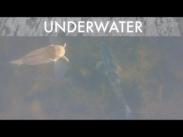 Post-Front Ice Fishing for Bass + Panfish (*Underwater view*!)