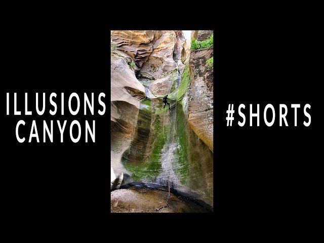 Canyoneering Illusions Canyon, Arizona #shorts