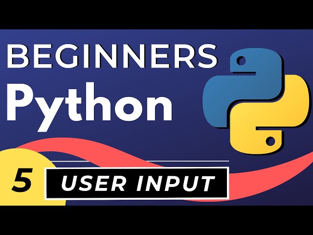 Python User Input & Control Flow | Python tutorial