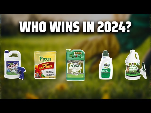 The Best Weed Killers in 2024 - Must Watch Before Buying!
