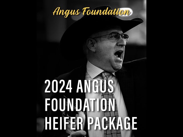 Sale | 2024 Angus Foundation Heifer Package