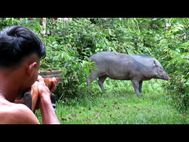 Full video: 2 day struggle to hunt invulnerable wild boars,wild birds and wild pests