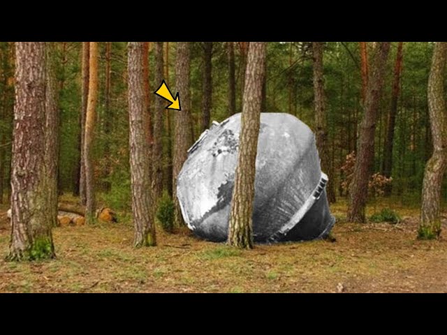 A Hiker Finds Something In The Middle Of The Forest And Hears A Sound As He Approaches