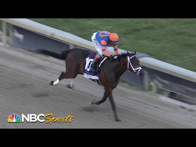 Analyzing Fierceness, Forever Young and other 2024 Kentucky Derby favorites | NBC Sports
