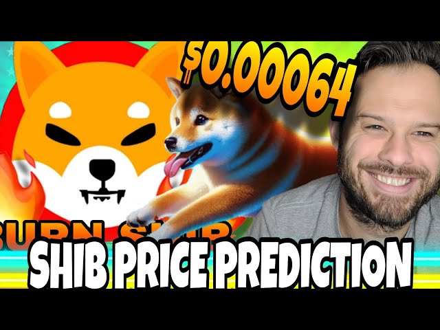 Shiba Inu Coin | SHIB Price Predictions Point To Massive SHIB Rally! Dogeverse Could Explode!