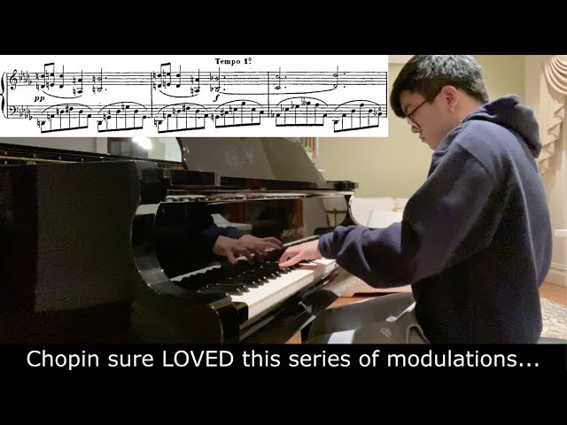 Chopin, Nocturne in Bb Minor Op.9 No.1