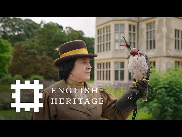 Falconry Through the Ages