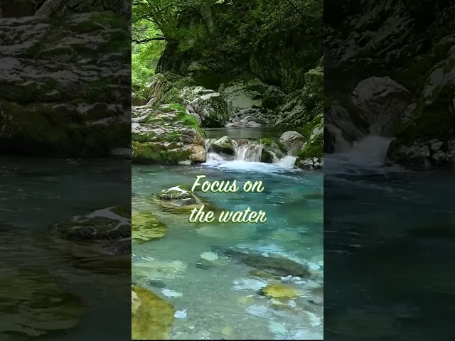 【ASMR Water Sounds】Mesmerizing River Flow in Enchanting Forest