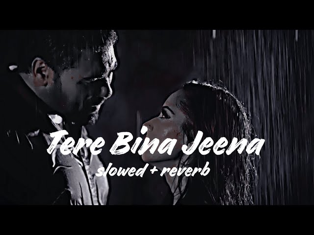 Tere Bina Jeena (slowed & reverb) Tej Gill