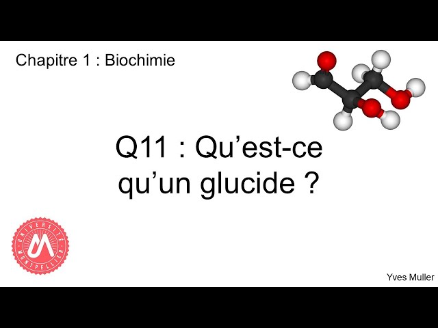 Chapitre 1 : Biochimie - Q11 : Qu'est-ce qu'un glucide ?