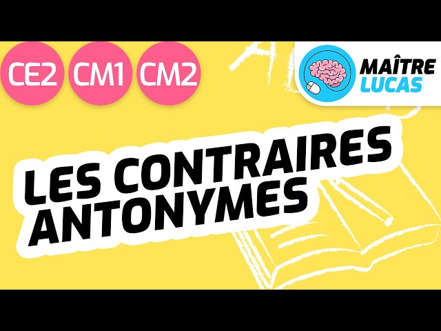 Les contraires - antonymes CE2 - CM1 - CM2 - Cycle 2 - Cycle 3 - Français - Lexique