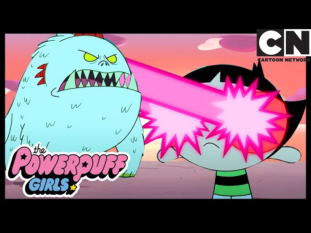 THE POWERPUFF GIRLS VS CHICHILLASAURUS | Powerpuff Girls CLIP | Cartoon Network