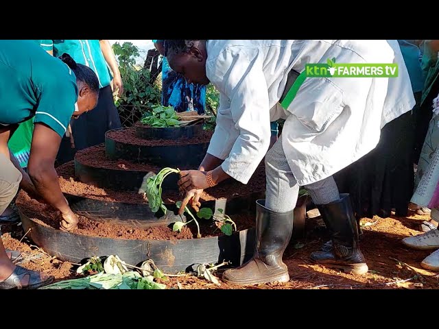 Improving vegetables production through smart agriculture technologies