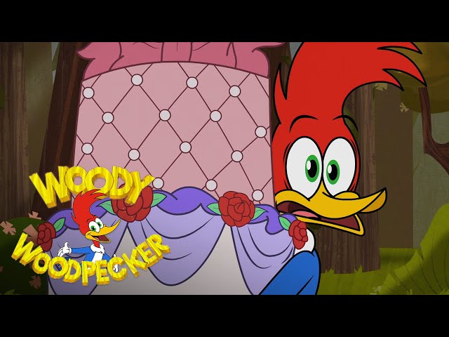 Happy Birthday | Full Episode | Woody Woodpecker