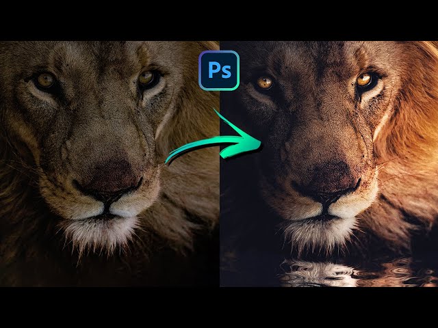 How to Edit Your Wildlife Photos to Get More Followers in 1 Minute!