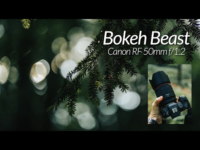 the Canon RF 50mm f/1.2 // waterfall walk w/ a BOKEH BEAST!