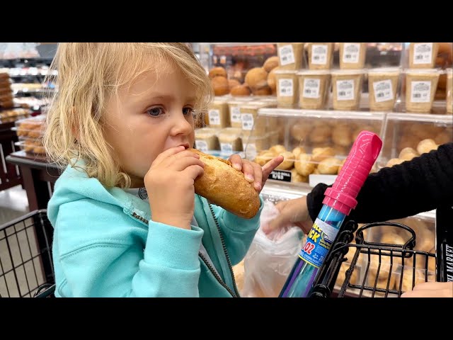 USA $160 GroceryShopping Vlog 🇺🇸 Cost of Living USA 2024