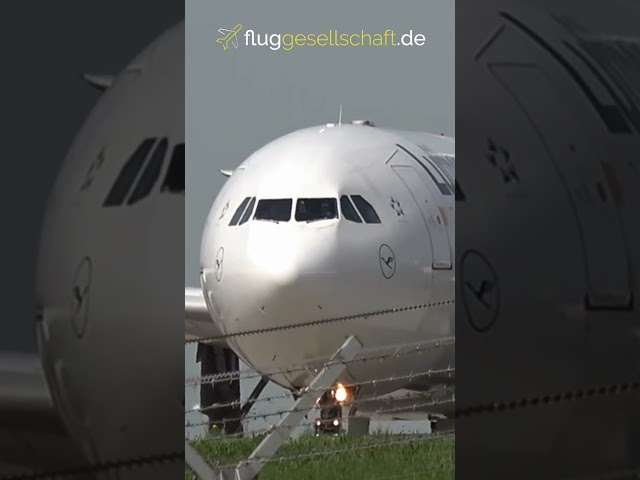 📸 Lichthupe & 👋 Pilotwave Lufthansa A340 Flugkapitän Claus - Quax747 - Frankfurt April 2024