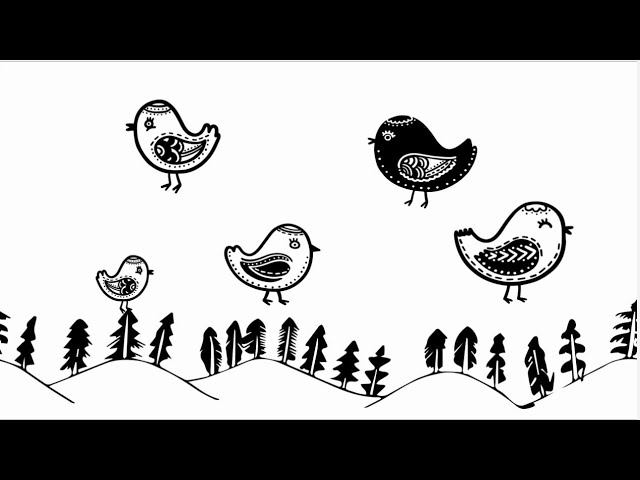 Baby Sensory | Black White High Contrast | Calming Fun classical music video | Scandi birds