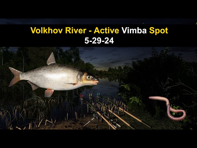 Russian Fishing 4, Volkhov River - Active Vimba Spot 5-29-24
