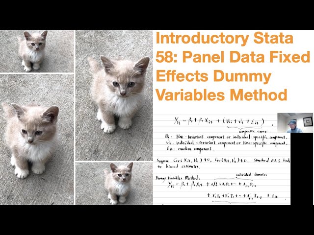 Introductory Stata 58: Panel Data Fixed Effects Dummy Variables Method