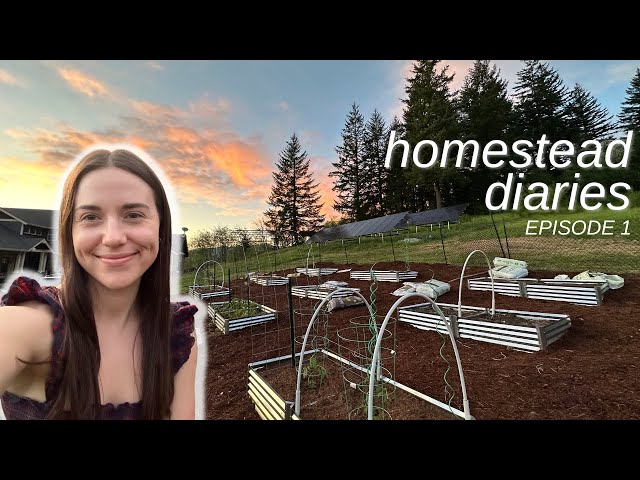 Setting up our summer garden (and fixing old mistakes) | homestead diaries ep 1