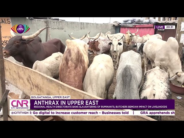 Regional Health Directorate in Upper East bans slaughtering of ruminants; butchers bemoan impact