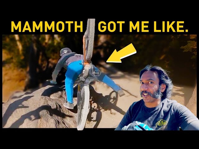 Mammoth Mountain Bike Park Got Gnarly Fast.