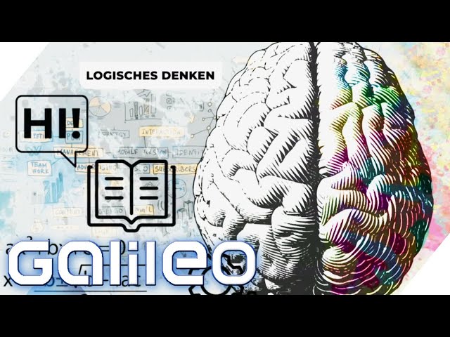 Wie tickt unser Gehirn? Das Experiment! | Galileo | ProSieben