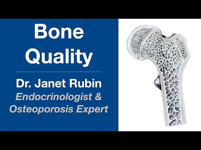 Bone Quality: Overview by Endocrinologist Dr. Janet Rubin, MD