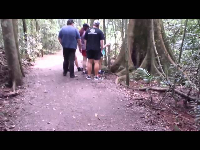 Mary Cairncross Rain Forest Walk